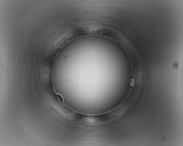 X0000115620654200911101416