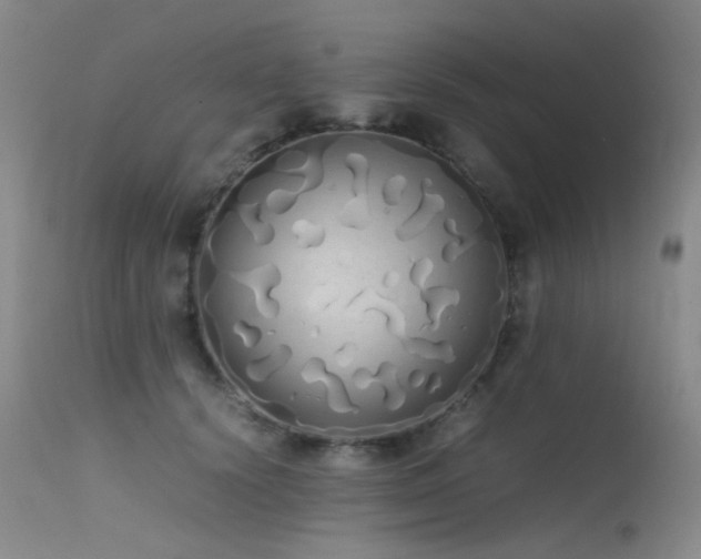 X0000115620656200911101416