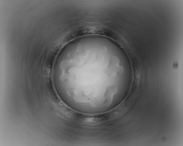 X0000115620657200911101416