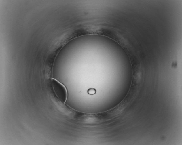 X0000115620658200911101416