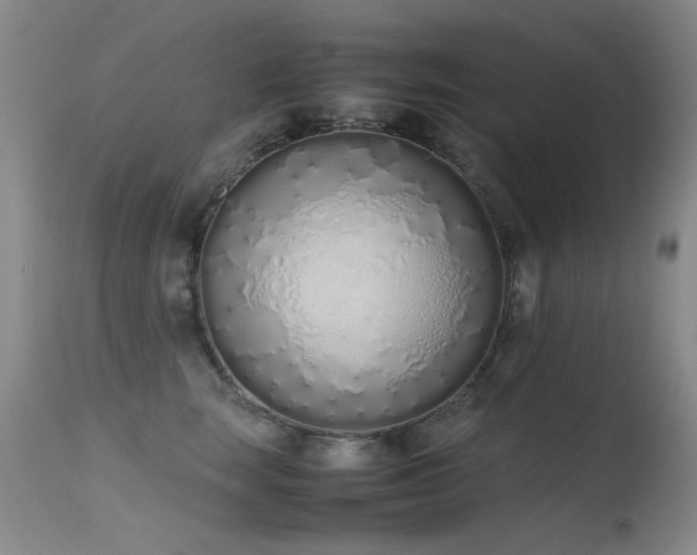 X0000115620663200911101416