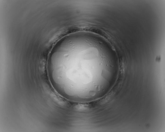 X0000115620664200911101416