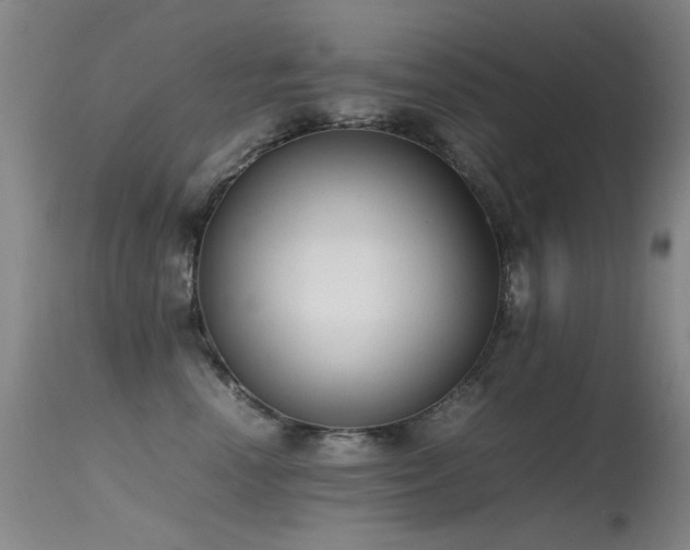 X0000115620666200911101416