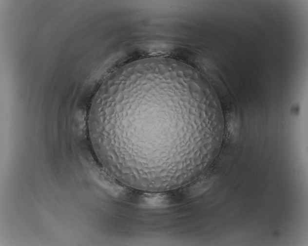 X0000115620667200911101416