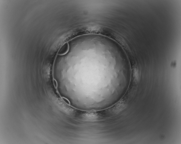 X0000115620668200911101416