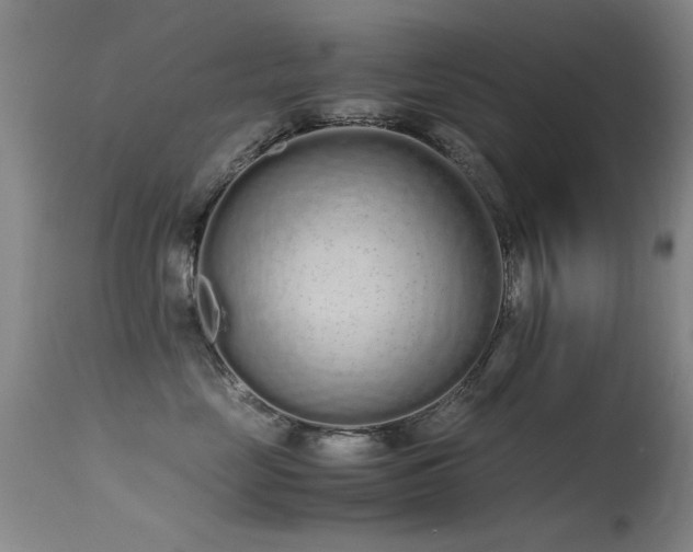 X0000115620669200911101416