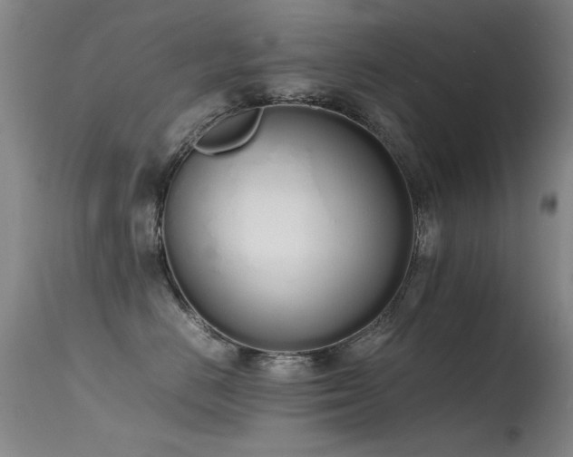 X0000115620670200911101417