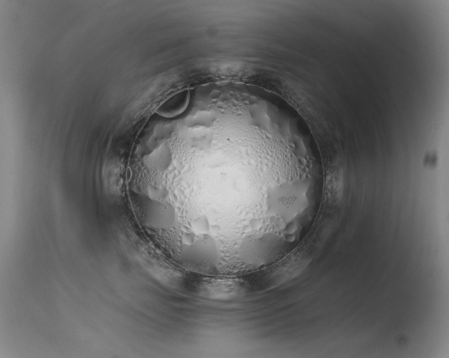 X0000115620671200911101417