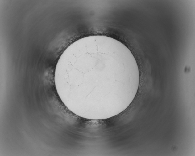 X0000115620672200911101417