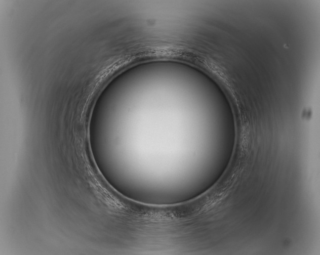 X0000115620673200911101416