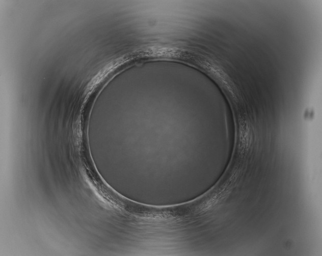 X0000115620674200911101416