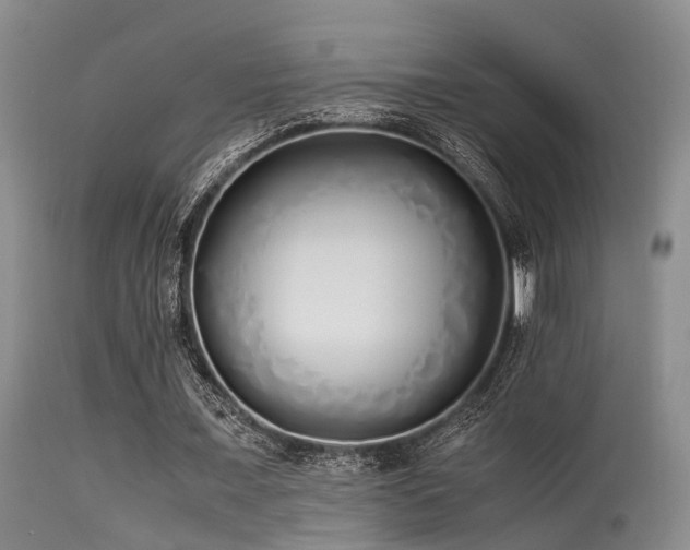 X0000115620675200911101416