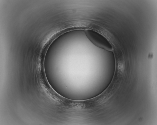 X0000115620676200911101416