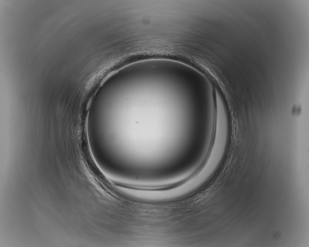 X0000115620677200911101416