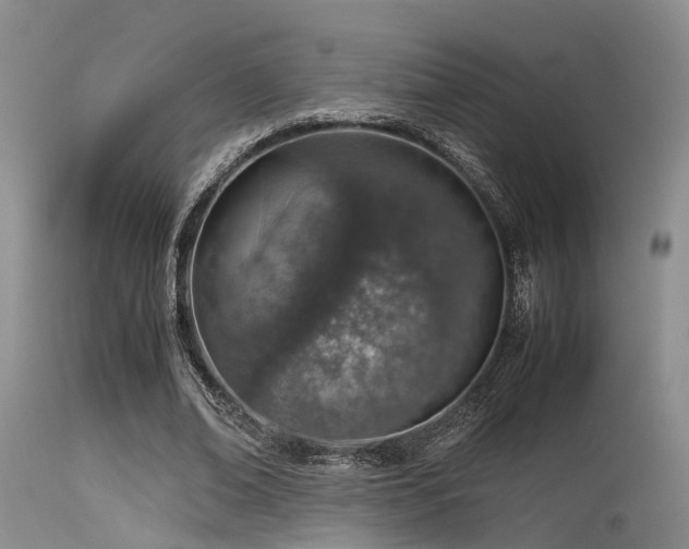 X0000115620678200911101416