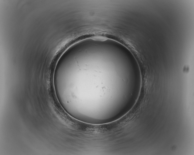 X0000115620679200911101416