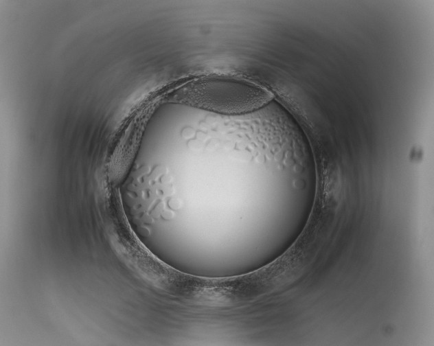 X0000115620680200911101416