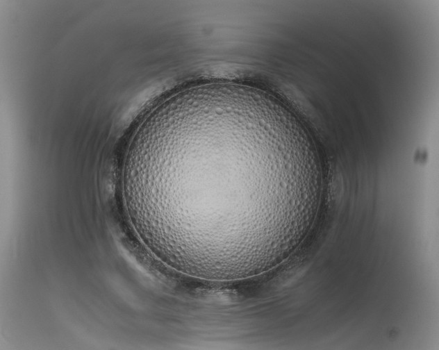 X0000115620683200911101416