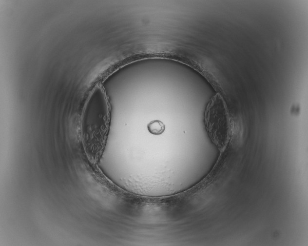 X0000115620684200911101416