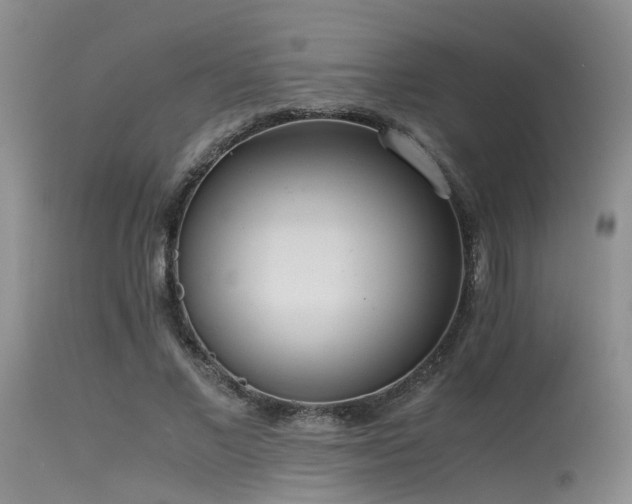 X0000115620685200911101416