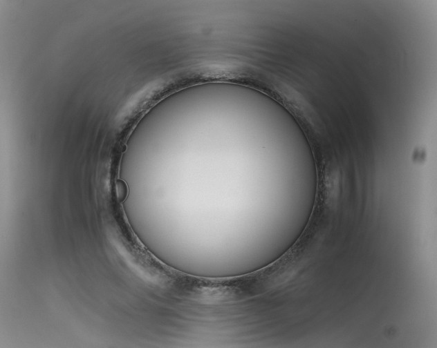 X0000115620686200911101416