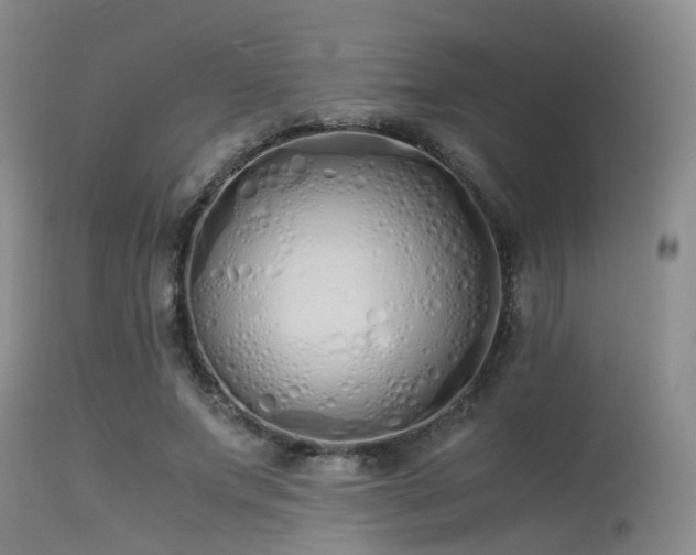 X0000115620687200911101416