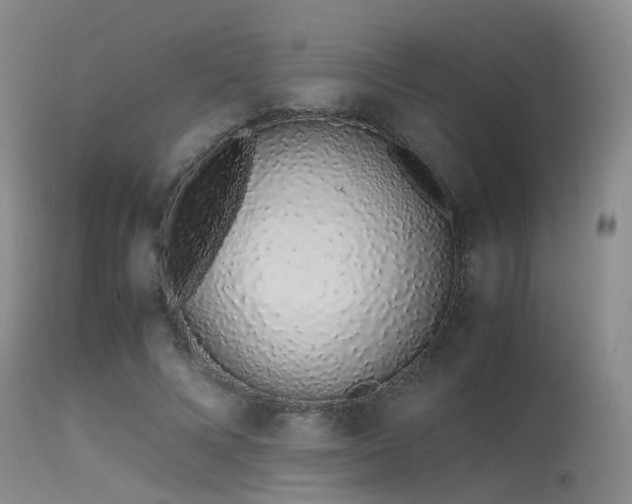 X0000115620688200911101416