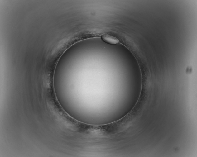 X0000115620689200911101416