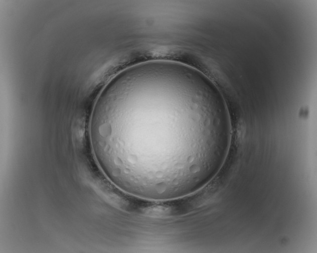 X0000115620691200911101416