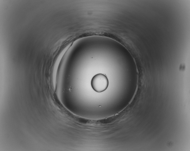 X0000115620693200911101416