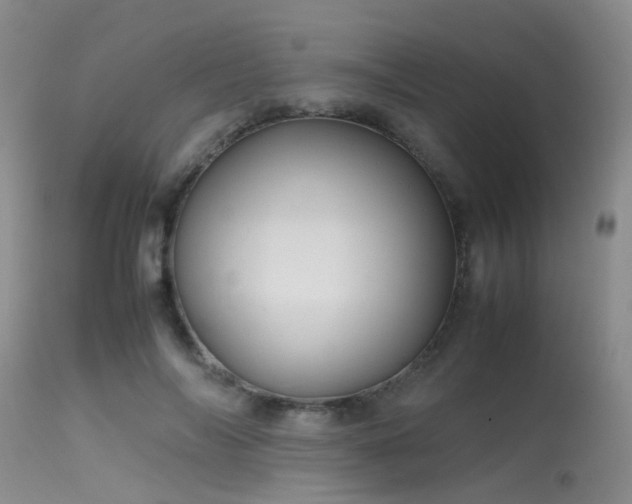 X0000115620694200911101416