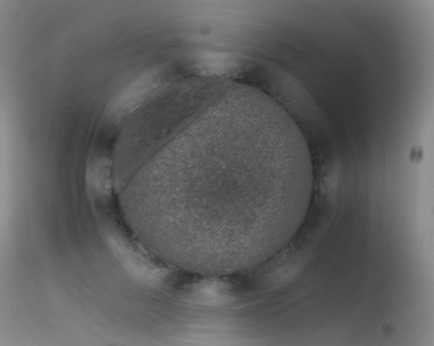 X0000115620696200911101416