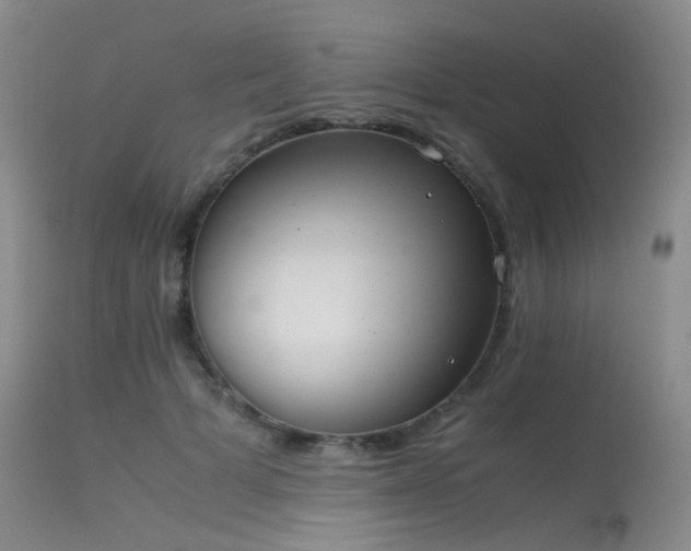 X0000115620697200911101416