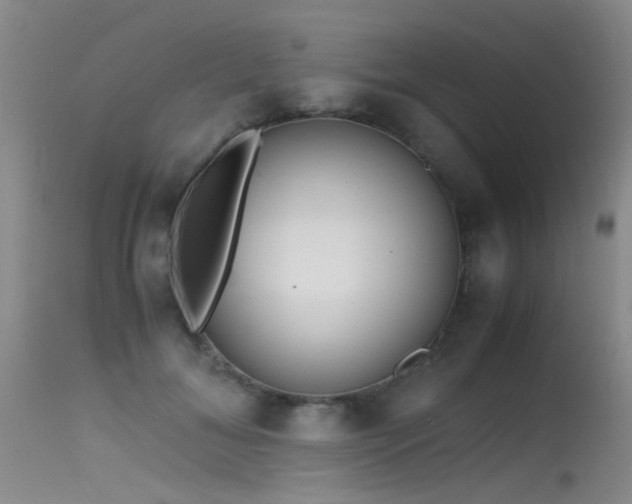 X0000115620700200911101415