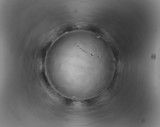 X0000115620703200911101415