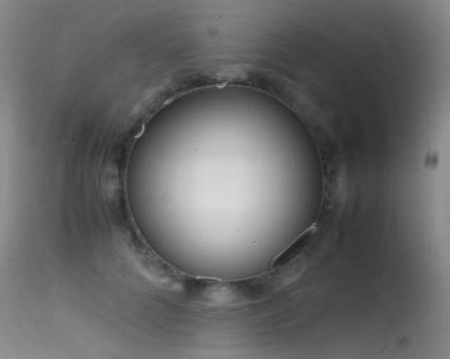 X0000115620704200911101415