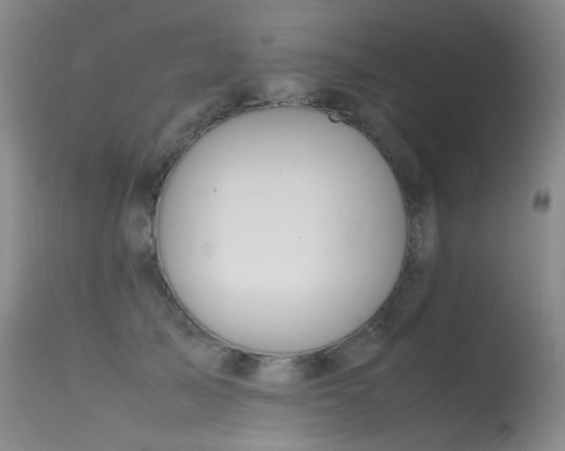 X0000115620705200911101415