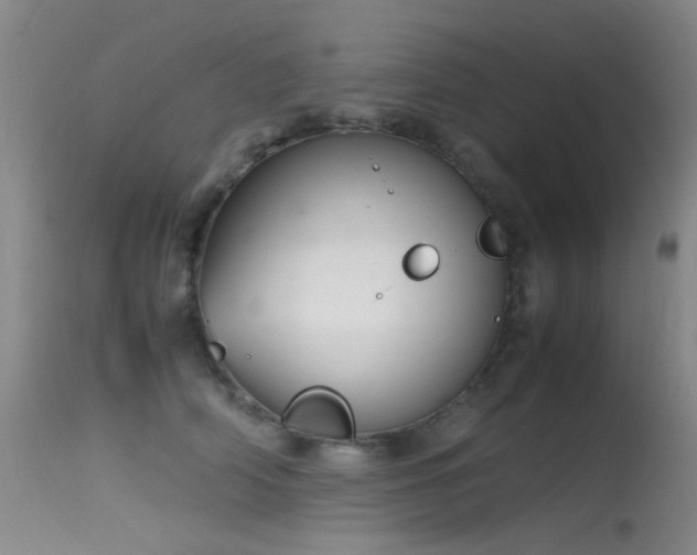 X0000115620706200911101415