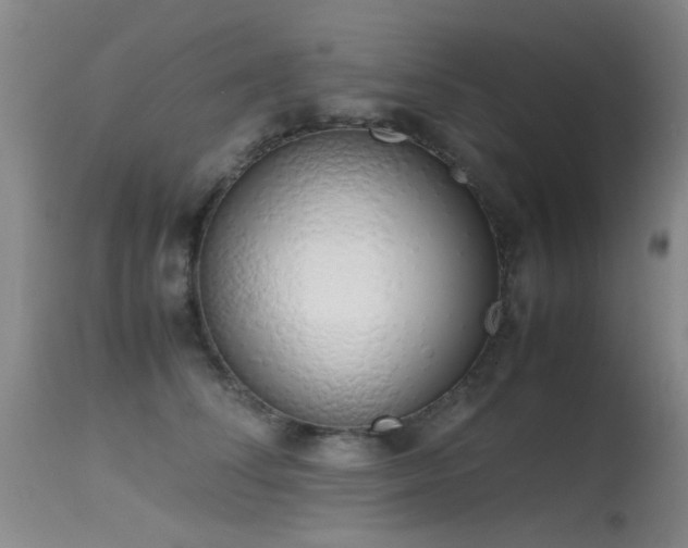 X0000115620708200911101415