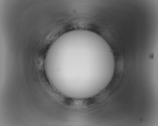 X0000115620709200911101415