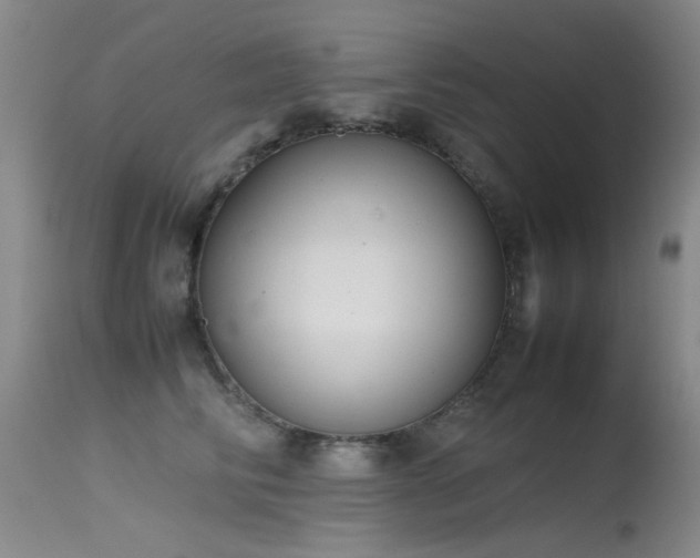 X0000115620710200911101415