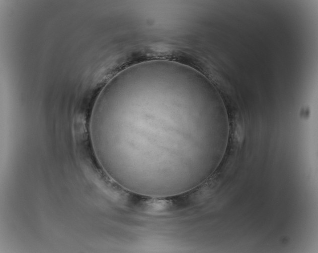 X0000115620711200911101415