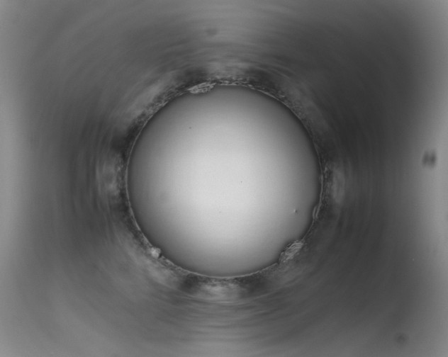 X0000115620712200911101415