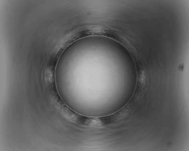 X0000115620715200911101415