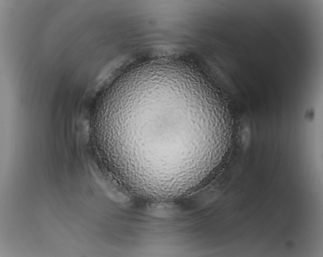 X0000115620716200911101415