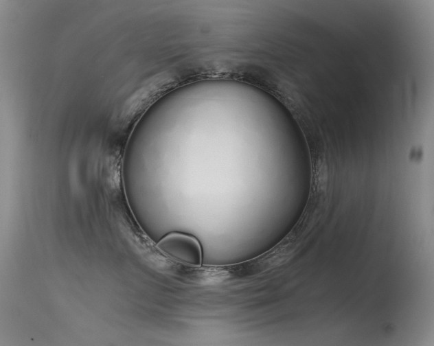 X0000115620719200911101415