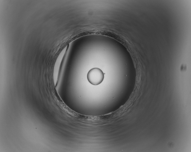 X0000115620720200911101415