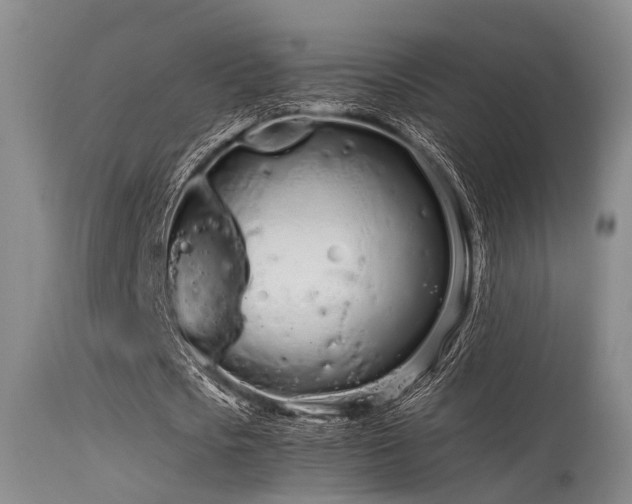 X0000115620721200911101415