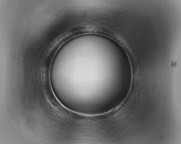 X0000115620722200911101415