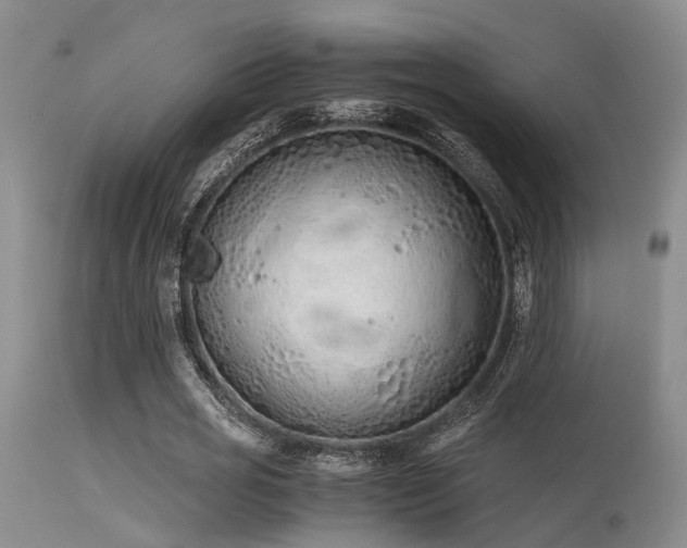 X0000115620725200911101415